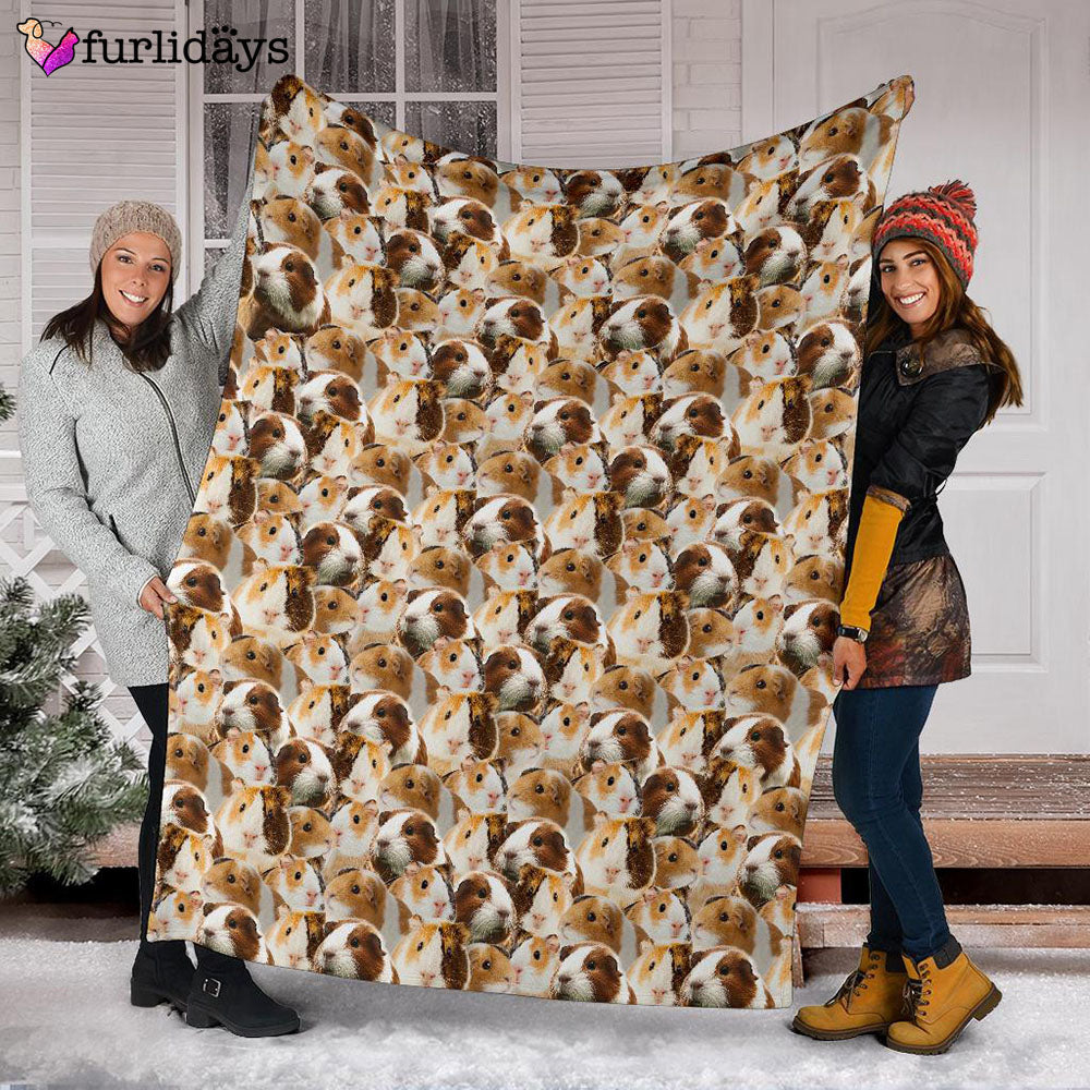 Dog Blanket Dog Face Blanket Dog Throw Blanket Guinea Pig Full Face Blanket Furlidays 3 fbe17742 3836 481d 80ce d0e0aed17beb Dog Blanket Dog Face Blanket Dog Throw Blanket Guinea Pig Full Face Blanket Furlidays 3 fbe17742 3836 481d 80ce d0e0aed17beb