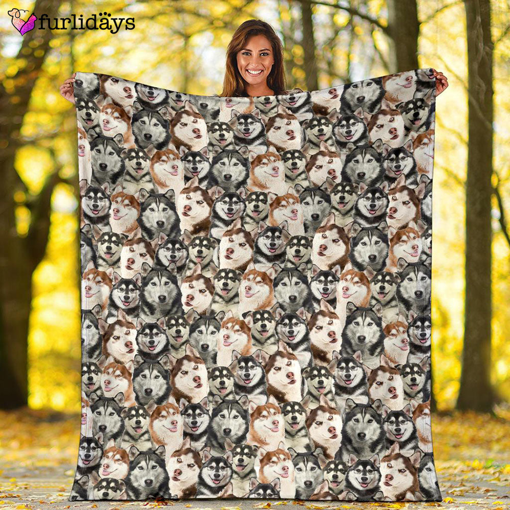 Dog Blanket Dog Face Blanket Dog Throw Blanket Husky Full Face Blanket Furlidays 2 Dog Blanket Dog Face Blanket Dog Throw Blanket Husky Full Face Blanket Furlidays 2