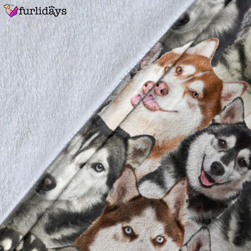 Dog Blanket Dog Face Blanket Dog Throw Blanket Husky Full Face Blanket Furlidays 5 Dog Blanket Dog Face Blanket Dog Throw Blanket Husky Full Face Blanket Furlidays 5