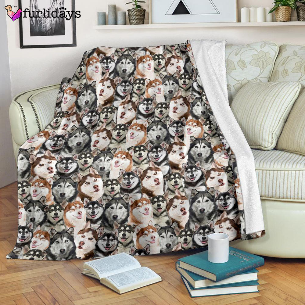 Dog Blanket Dog Face Blanket Dog Throw Blanket Husky Full Face Blanket Furlidays 7 875b8668 4d30 4c6a 8999 924256c3bf99 Dog Blanket Dog Face Blanket Dog Throw Blanket Husky Full Face Blanket Furlidays 7 875b8668 4d30 4c6a 8999 924256c3bf99