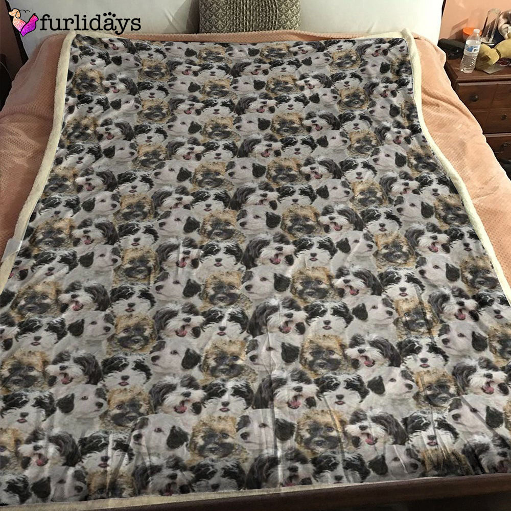Dog Blanket Dog Face Blanket Dog Throw Blanket Kooikerhondje Full Face Blanket Furlidays 1 Dog Blanket Dog Face Blanket Dog Throw Blanket Kooikerhondje Full Face Blanket Furlidays 1