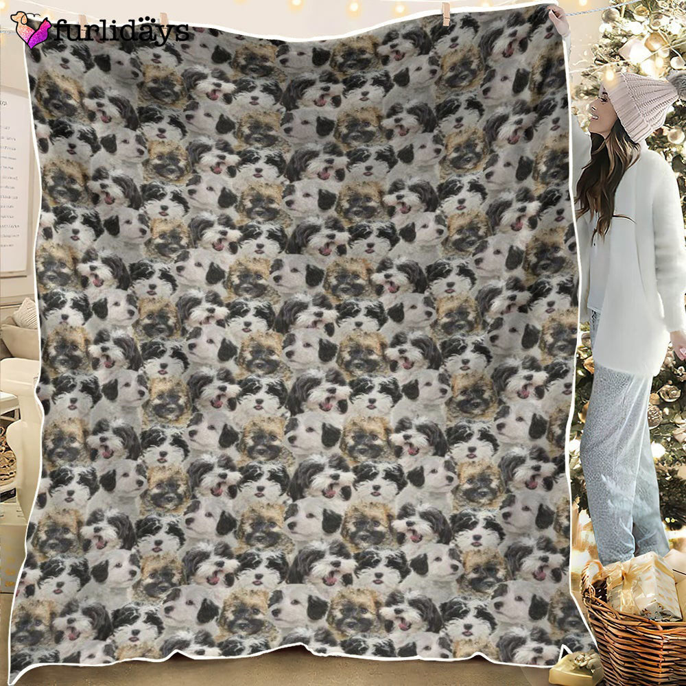 Dog Blanket Dog Face Blanket Dog Throw Blanket Kooikerhondje Full Face Blanket Furlidays 2 Dog Blanket Dog Face Blanket Dog Throw Blanket Kooikerhondje Full Face Blanket Furlidays 2