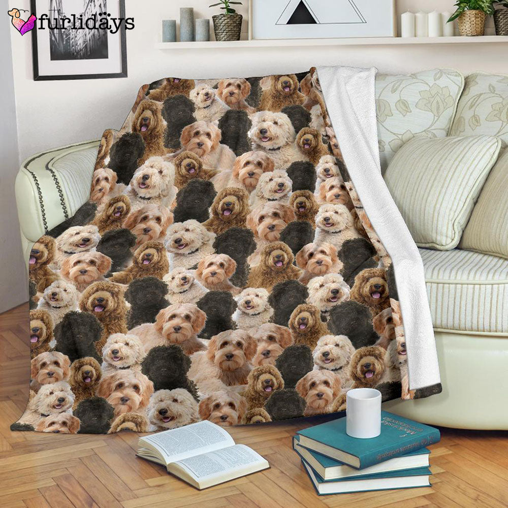 Dog Blanket Dog Face Blanket Dog Throw Blanket Labradoodle Full Face Blanket Furlidays 7 01bccab4 60d9 4b10 a453 edd3b1aa33e3 Dog Blanket Dog Face Blanket Dog Throw Blanket Labradoodle Full Face Blanket Furlidays 7 01bccab4 60d9 4b10 a453 edd3b1aa33e3
