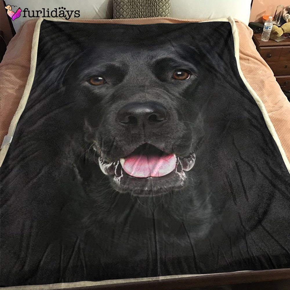 Dog Blanket Dog Face Blanket Dog Throw Blanket Labrador Retriever Face Hair Blanket Furlidays 1