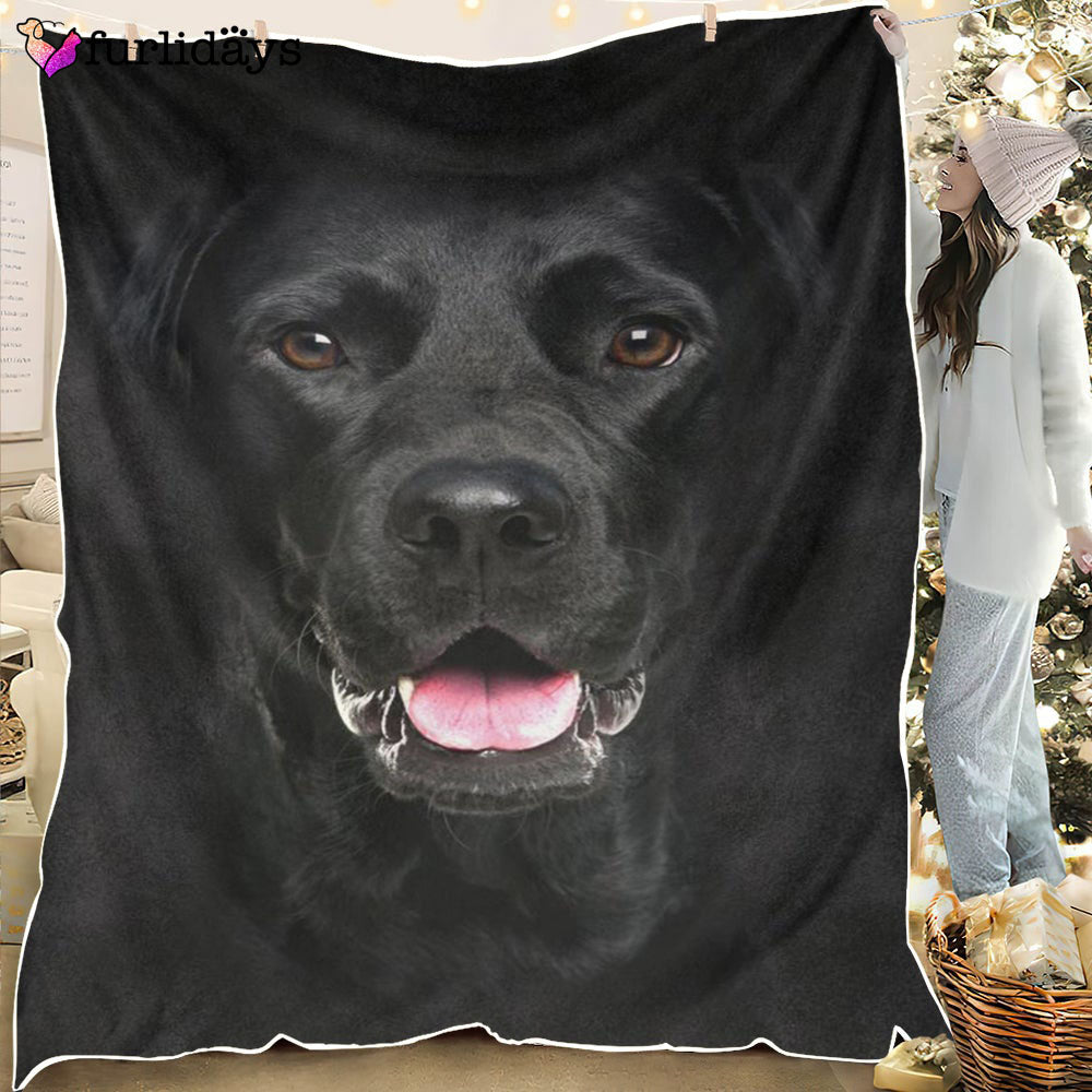 Dog Blanket Dog Face Blanket Dog Throw Blanket Labrador Retriever Face Hair Blanket Furlidays 2