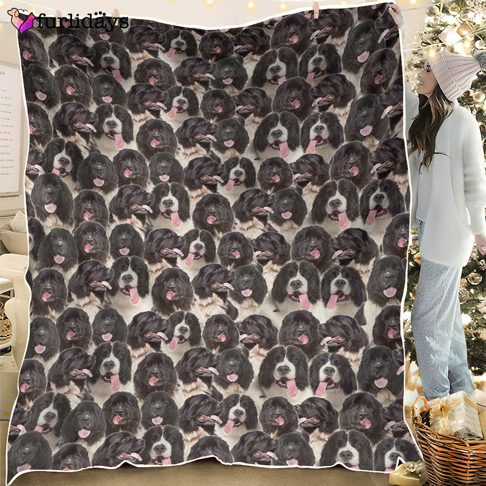 Dog Blanket Dog Face Blanket Dog Throw Blanket Landseer Full Face Blanket Furlidays 1
