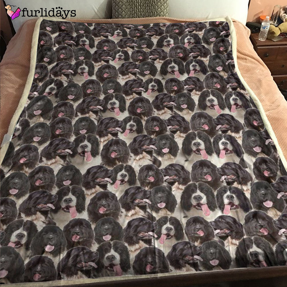 Dog Blanket Dog Face Blanket Dog Throw Blanket Landseer Full Face Blanket Furlidays 2 f8814ea9 7185 47f8 b8ba d03d520fe8be Dog Blanket Dog Face Blanket Dog Throw Blanket Landseer Full Face Blanket Furlidays 2 f8814ea9 7185 47f8 b8ba d03d520fe8be
