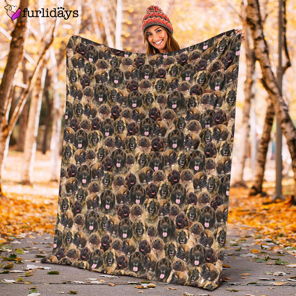 Dog Blanket Dog Face Blanket Dog Throw Blanket Leonberger Full Face Blanket Furlidays 10 f9f39bc9 1c0a 46a2 8e10 a0f26f9da060 Dog Blanket Dog Face Blanket Dog Throw Blanket Leonberger Full Face Blanket Furlidays 10 f9f39bc9 1c0a 46a2 8e10 a0f26f9da060