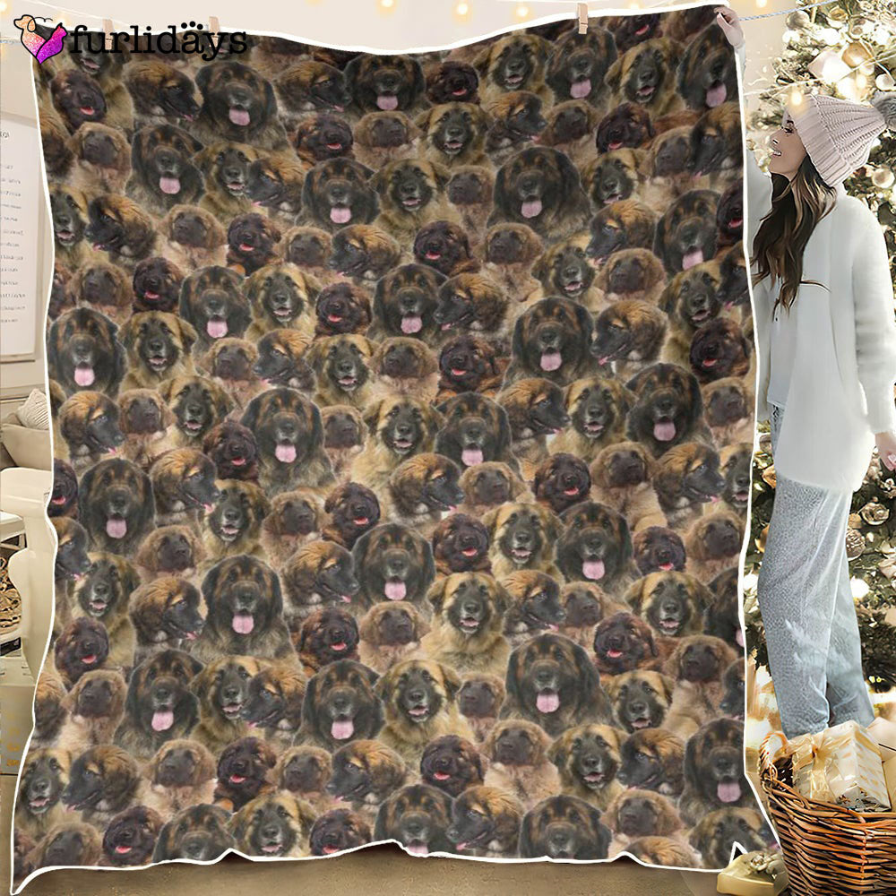 Dog Blanket Dog Face Blanket Dog Throw Blanket Leonberger Full Face Blanket Furlidays 1 294b564b 5e29 46a3 829a 9d0af287b9b3 Dog Blanket Dog Face Blanket Dog Throw Blanket Leonberger Full Face Blanket Furlidays 1 294b564b 5e29 46a3 829a 9d0af287b9b3