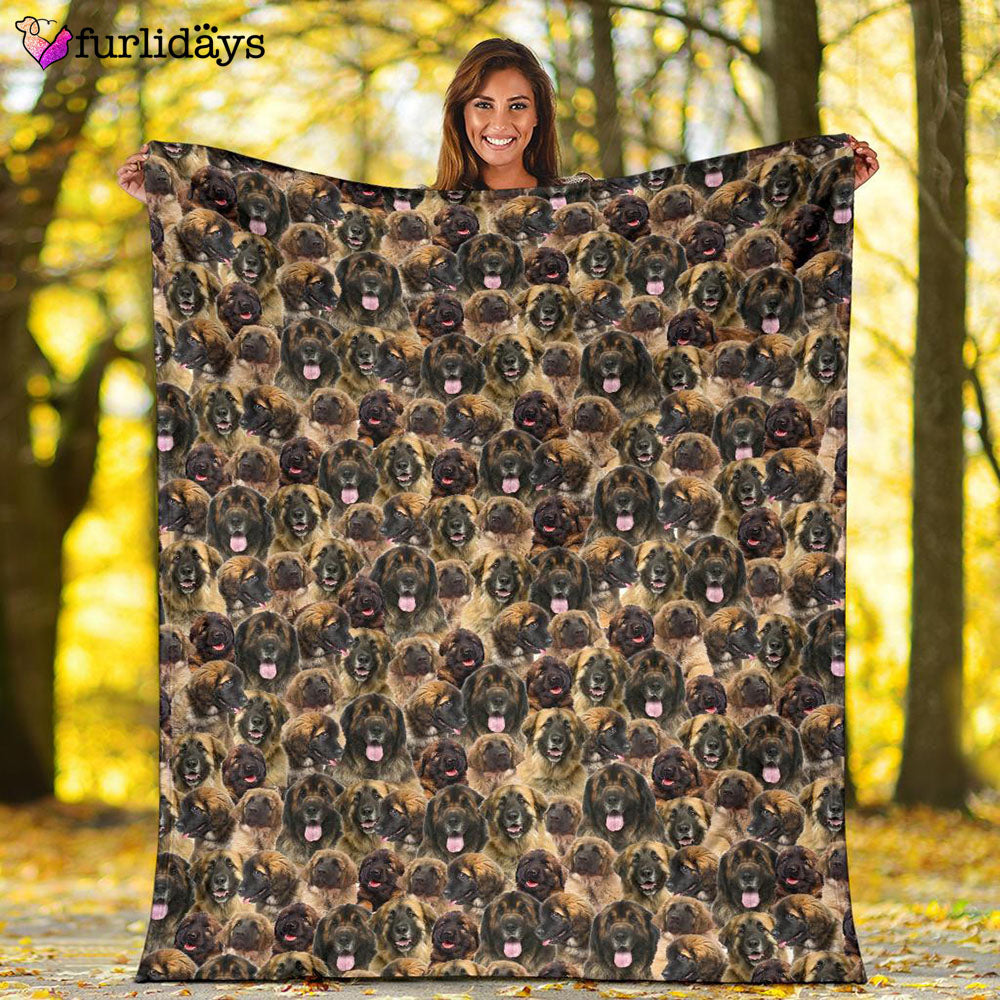 Dog Blanket Dog Face Blanket Dog Throw Blanket Leonberger Full Face Blanket Furlidays 2 d950b24c e5c8 460c 9dd4 f709a3d352ab Dog Blanket Dog Face Blanket Dog Throw Blanket Leonberger Full Face Blanket Furlidays 2 d950b24c e5c8 460c 9dd4 f709a3d352ab