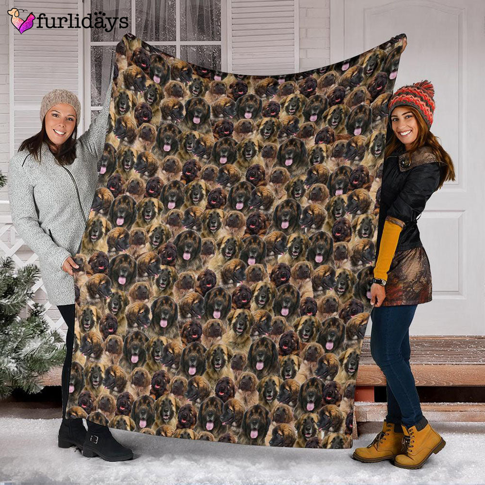 Dog Blanket Dog Face Blanket Dog Throw Blanket Leonberger Full Face Blanket Furlidays 3 87d2d442 d035 4183 82c3 1c079f08b82e Dog Blanket Dog Face Blanket Dog Throw Blanket Leonberger Full Face Blanket Furlidays 3 87d2d442 d035 4183 82c3 1c079f08b82e