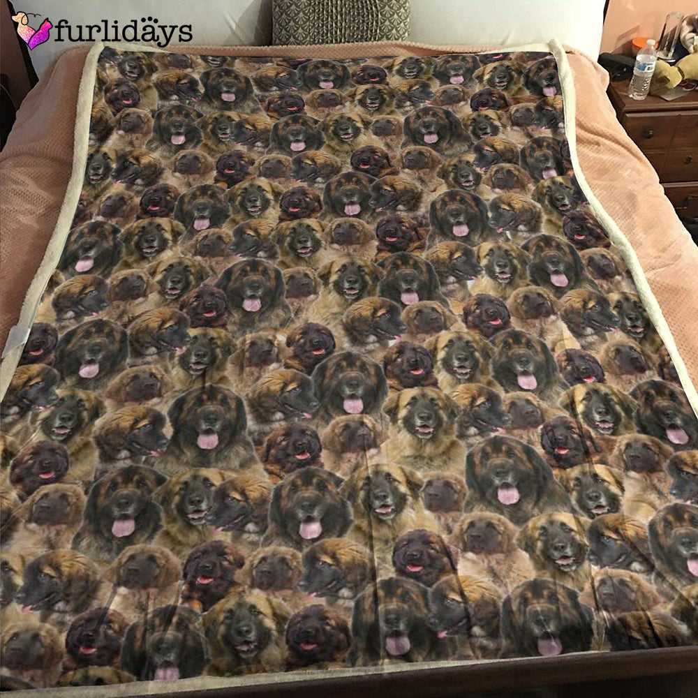 Dog Blanket Dog Face Blanket Dog Throw Blanket Leonberger Full Face Blanket Furlidays 6 Dog Blanket Dog Face Blanket Dog Throw Blanket Leonberger Full Face Blanket Furlidays 6