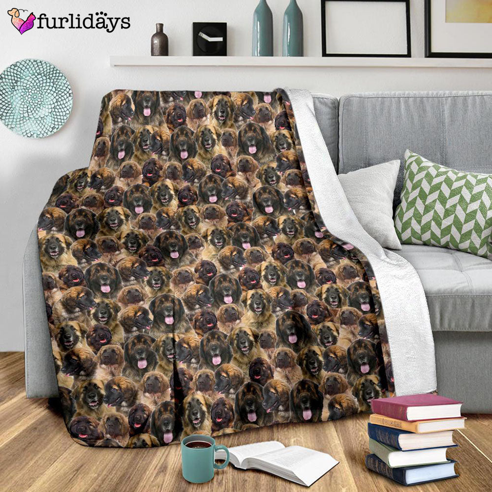 Dog Blanket Dog Face Blanket Dog Throw Blanket Leonberger Full Face Blanket Furlidays 9 fb1f60e4 d241 4963 b4d8 8578b6df0c64 Dog Blanket Dog Face Blanket Dog Throw Blanket Leonberger Full Face Blanket Furlidays 9 fb1f60e4 d241 4963 b4d8 8578b6df0c64