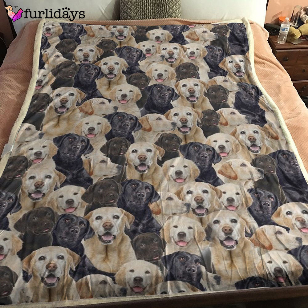 Dog Blanket Dog Face Blanket Dog Throw Blanket Maltipoo Full Face Blanket Furlidays 1 Dog Blanket Dog Face Blanket Dog Throw Blanket Maltipoo Full Face Blanket Furlidays 1