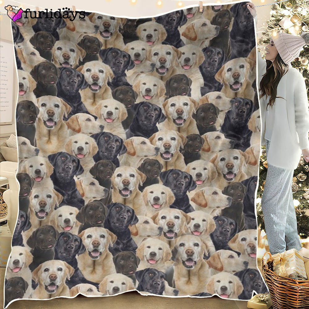 Dog Blanket Dog Face Blanket Dog Throw Blanket Maltipoo Full Face Blanket Furlidays 2 Dog Blanket Dog Face Blanket Dog Throw Blanket Maltipoo Full Face Blanket Furlidays 2
