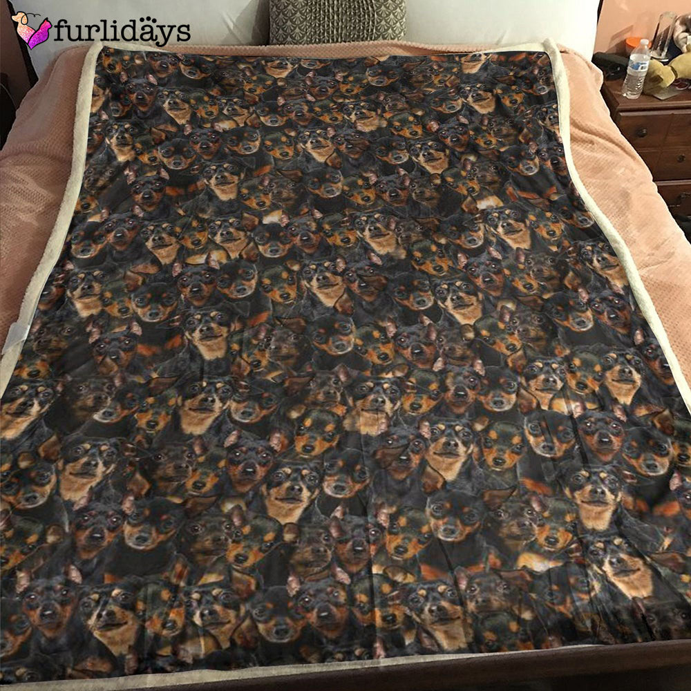 Dog Blanket Dog Face Blanket Dog Throw Blanket Miniature Pinscher Full Face Blanket Furlidays 1 Dog Blanket Dog Face Blanket Dog Throw Blanket Miniature Pinscher Full Face Blanket Furlidays 1