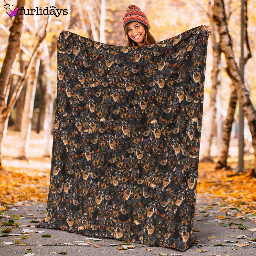 Dog Blanket Dog Face Blanket Dog Throw Blanket Miniature Pinscher Full Face Blanket Furlidays 10 Dog Blanket Dog Face Blanket Dog Throw Blanket Miniature Pinscher Full Face Blanket Furlidays 10