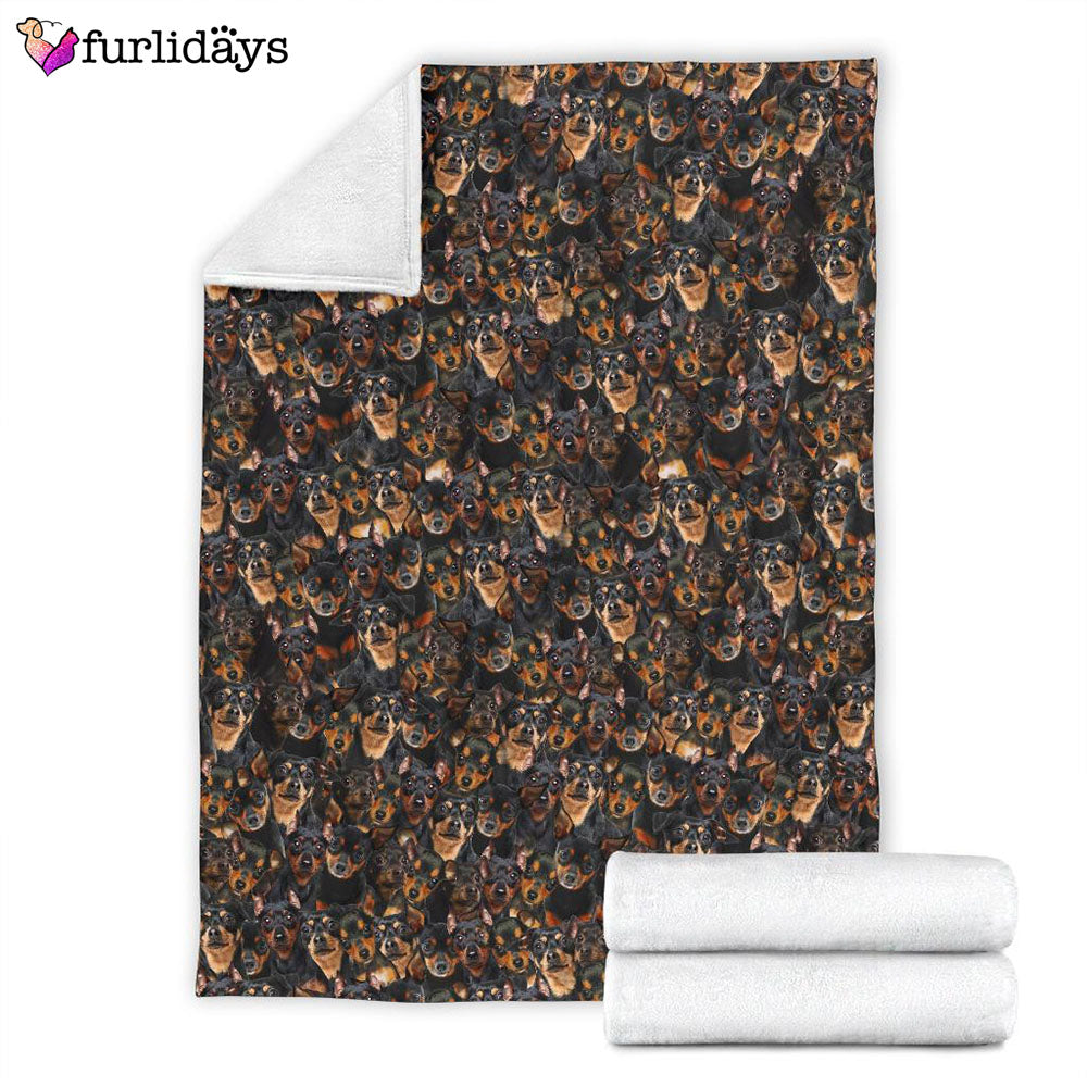 Dog Blanket Dog Face Blanket Dog Throw Blanket Miniature Pinscher Full Face Blanket Furlidays 4 f94a98aa 9104 4bcc 95ca aa441574349a Dog Blanket Dog Face Blanket Dog Throw Blanket Miniature Pinscher Full Face Blanket Furlidays 4 f94a98aa 9104 4bcc 95ca aa441574349a