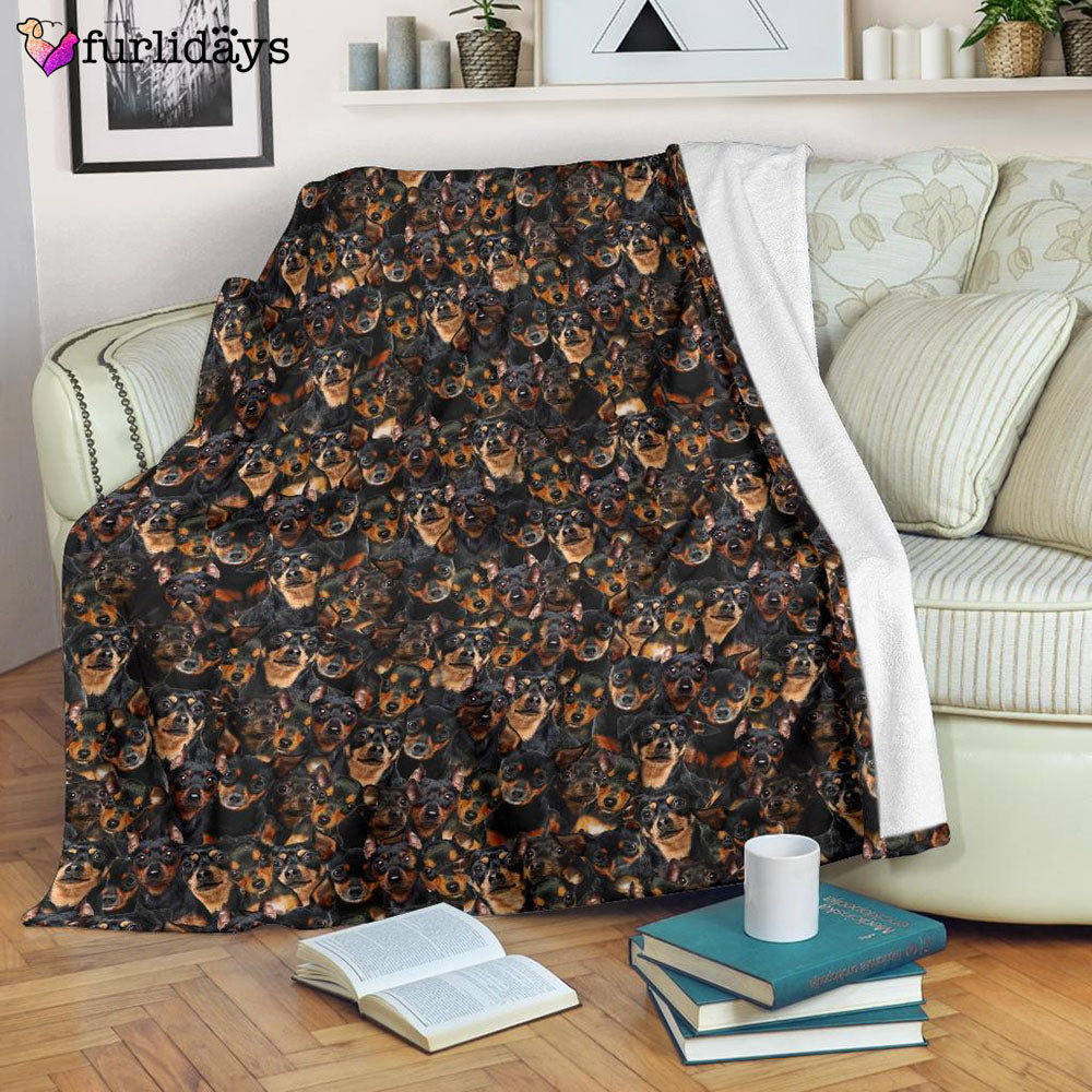 Dog Blanket Dog Face Blanket Dog Throw Blanket Miniature Pinscher Full Face Blanket Furlidays 7 Dog Blanket Dog Face Blanket Dog Throw Blanket Miniature Pinscher Full Face Blanket Furlidays 7