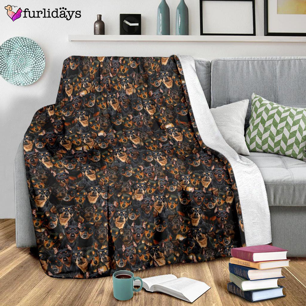 Dog Blanket Dog Face Blanket Dog Throw Blanket Miniature Pinscher Full Face Blanket Furlidays 9 Dog Blanket Dog Face Blanket Dog Throw Blanket Miniature Pinscher Full Face Blanket Furlidays 9