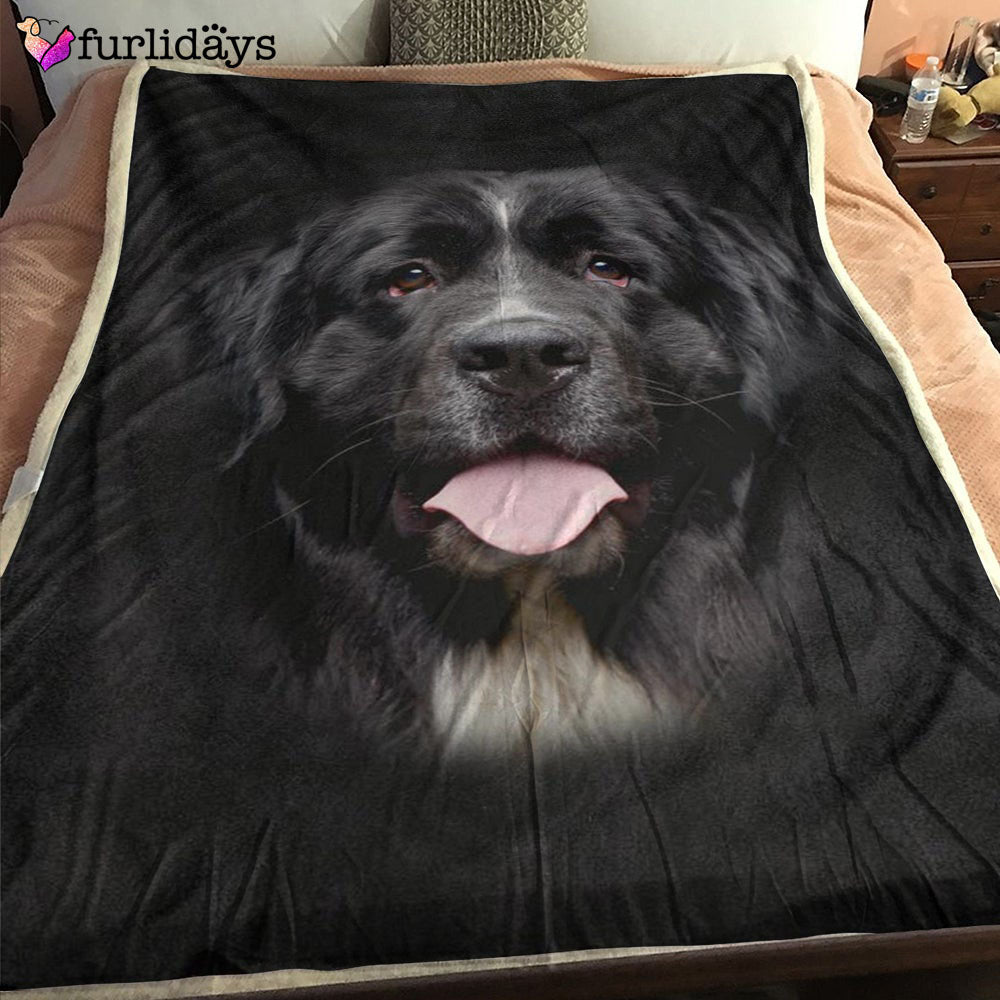 Dog Blanket Dog Face Blanket Dog Throw Blanket Newfoundland Face Hair Blanket Furlidays 1 c7f5f571 0803 4cf4 8d80 9f3d8f64105d
