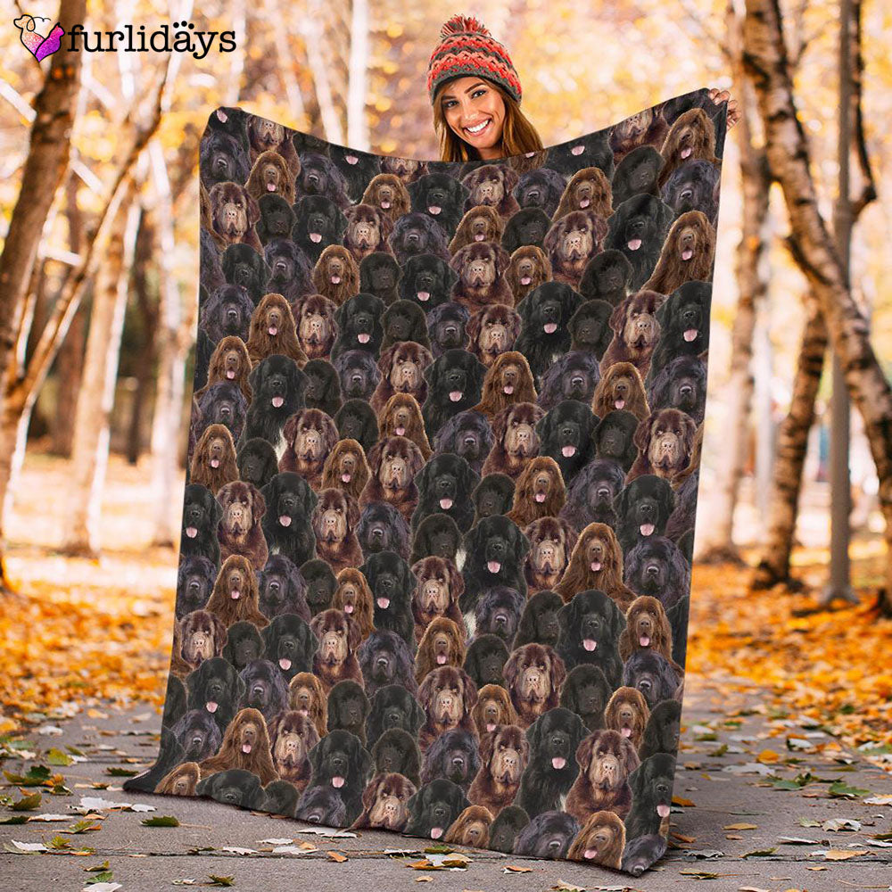 Dog Blanket Dog Face Blanket Dog Throw Blanket Newfoundland Full Face Blanket Furlidays 10 5ba8b98b ce0e 4f21 8aed 93f4a90b3507 Dog Blanket Dog Face Blanket Dog Throw Blanket Newfoundland Full Face Blanket Furlidays 10 5ba8b98b ce0e 4f21 8aed 93f4a90b3507