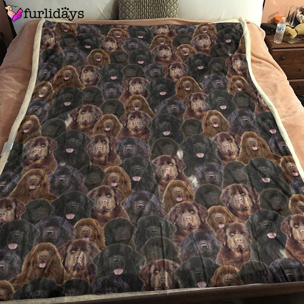 Dog Blanket Dog Face Blanket Dog Throw Blanket Newfoundland Full Face Blanket Furlidays 1 8c0ec76d da68 4407 be18 45ec6402f627 Dog Blanket Dog Face Blanket Dog Throw Blanket Newfoundland Full Face Blanket Furlidays 1 8c0ec76d da68 4407 be18 45ec6402f627