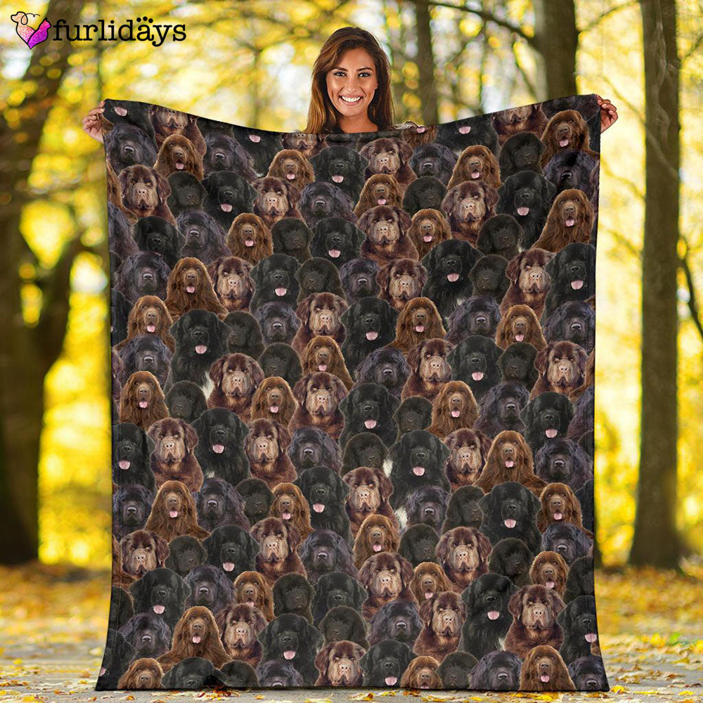 Dog Blanket Dog Face Blanket Dog Throw Blanket Newfoundland Full Face Blanket Furlidays 2 21bcd1ea edfa 4fe5 bf3d 5af00d37461c Dog Blanket Dog Face Blanket Dog Throw Blanket Newfoundland Full Face Blanket Furlidays 2 21bcd1ea edfa 4fe5 bf3d 5af00d37461c
