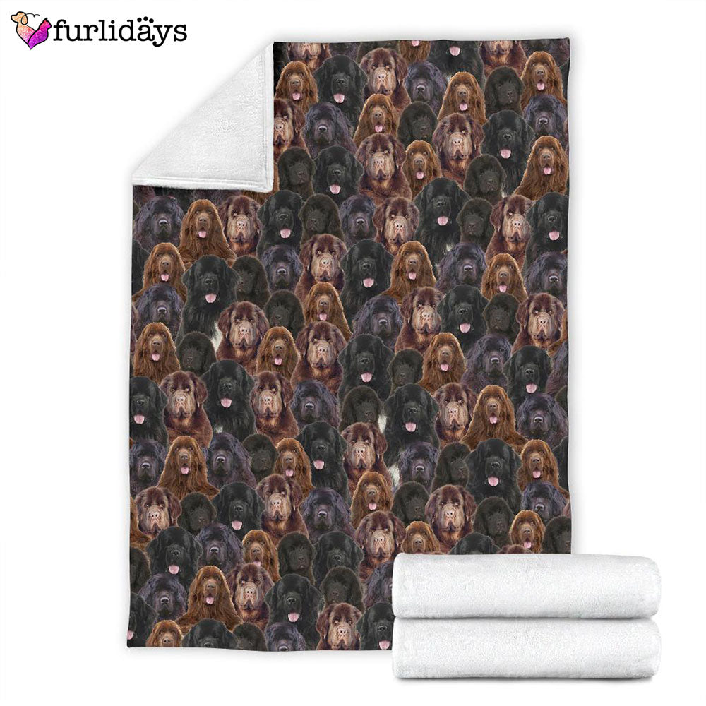 Dog Blanket Dog Face Blanket Dog Throw Blanket Newfoundland Full Face Blanket Furlidays 4