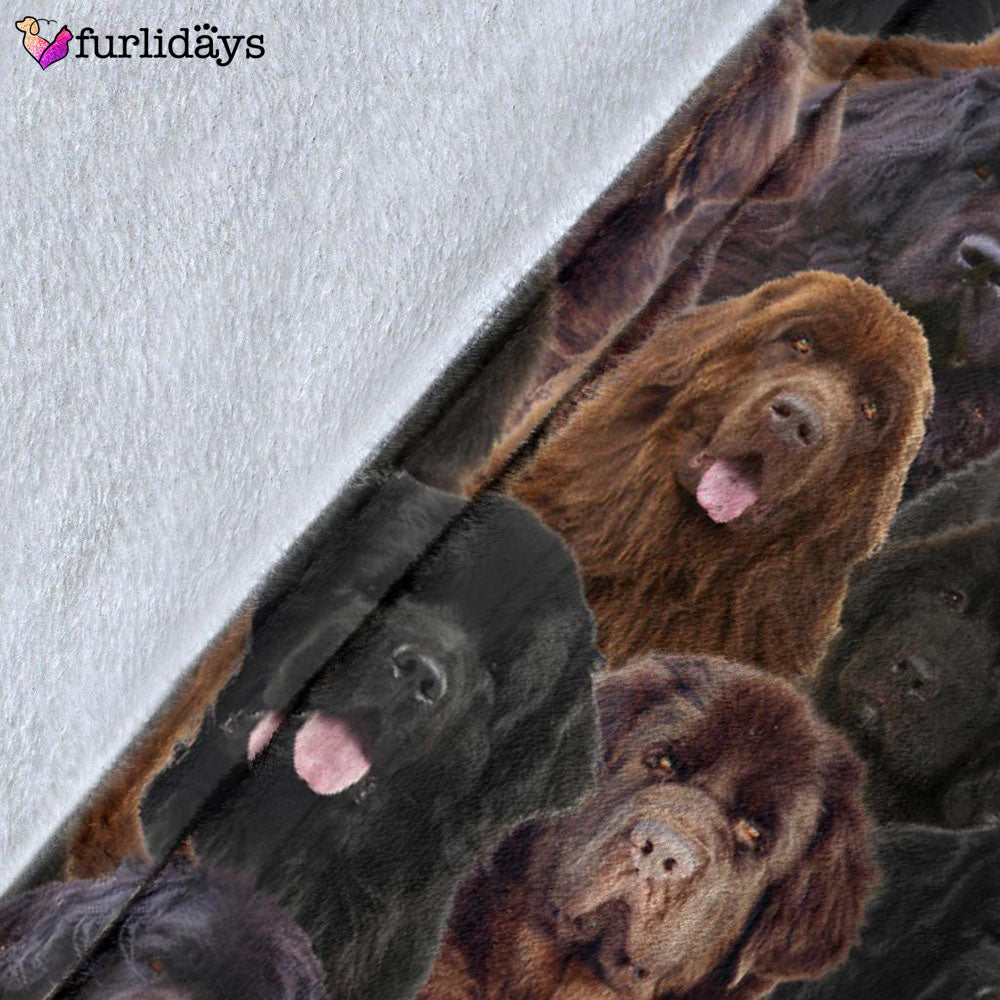 Dog Blanket Dog Face Blanket Dog Throw Blanket Newfoundland Full Face Blanket Furlidays 5 c8541c0e 24cb 40b3 a1f3 2790298b6728 Dog Blanket Dog Face Blanket Dog Throw Blanket Newfoundland Full Face Blanket Furlidays 5 c8541c0e 24cb 40b3 a1f3 2790298b6728