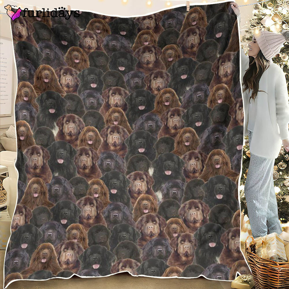 Dog Blanket Dog Face Blanket Dog Throw Blanket Newfoundland Full Face Blanket Furlidays 6 09f87af2 6d31 4c52 b7c2 681a44e9d034 Dog Blanket Dog Face Blanket Dog Throw Blanket Newfoundland Full Face Blanket Furlidays 6 09f87af2 6d31 4c52 b7c2 681a44e9d034