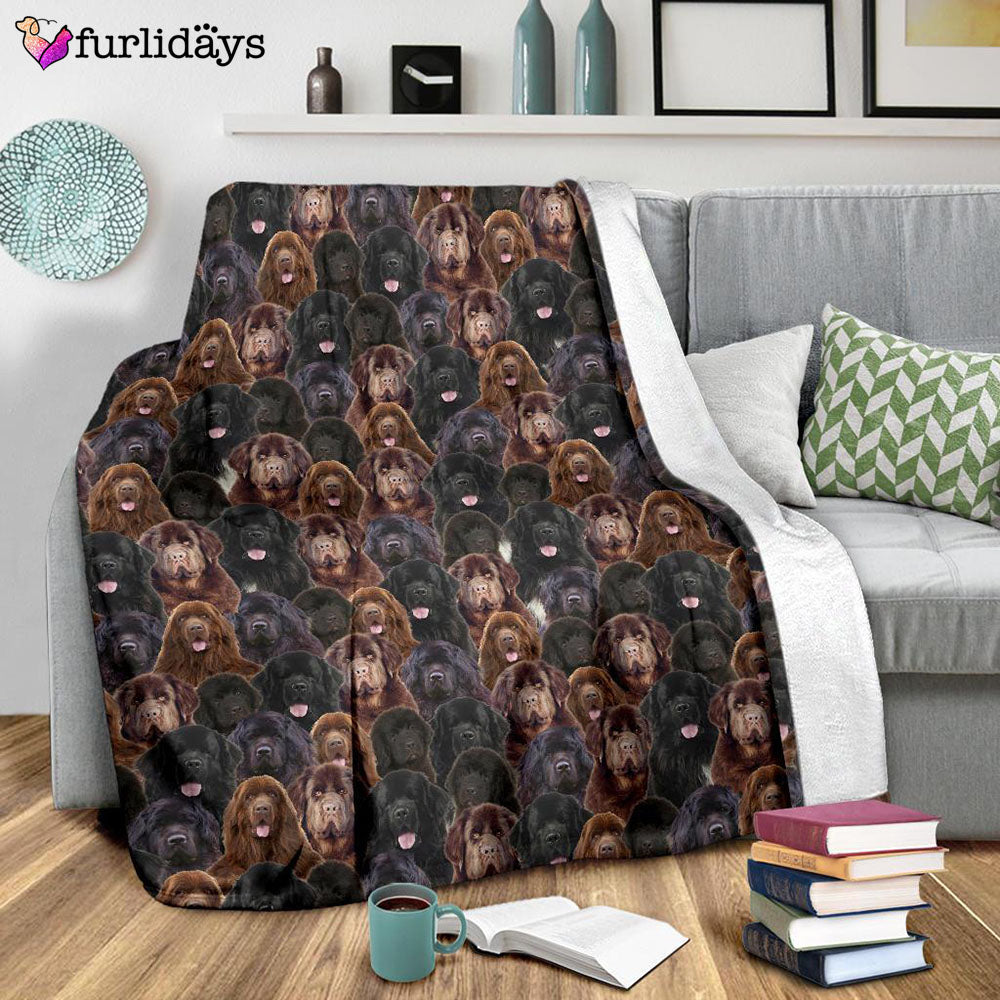 Dog Blanket Dog Face Blanket Dog Throw Blanket Newfoundland Full Face Blanket Furlidays 9