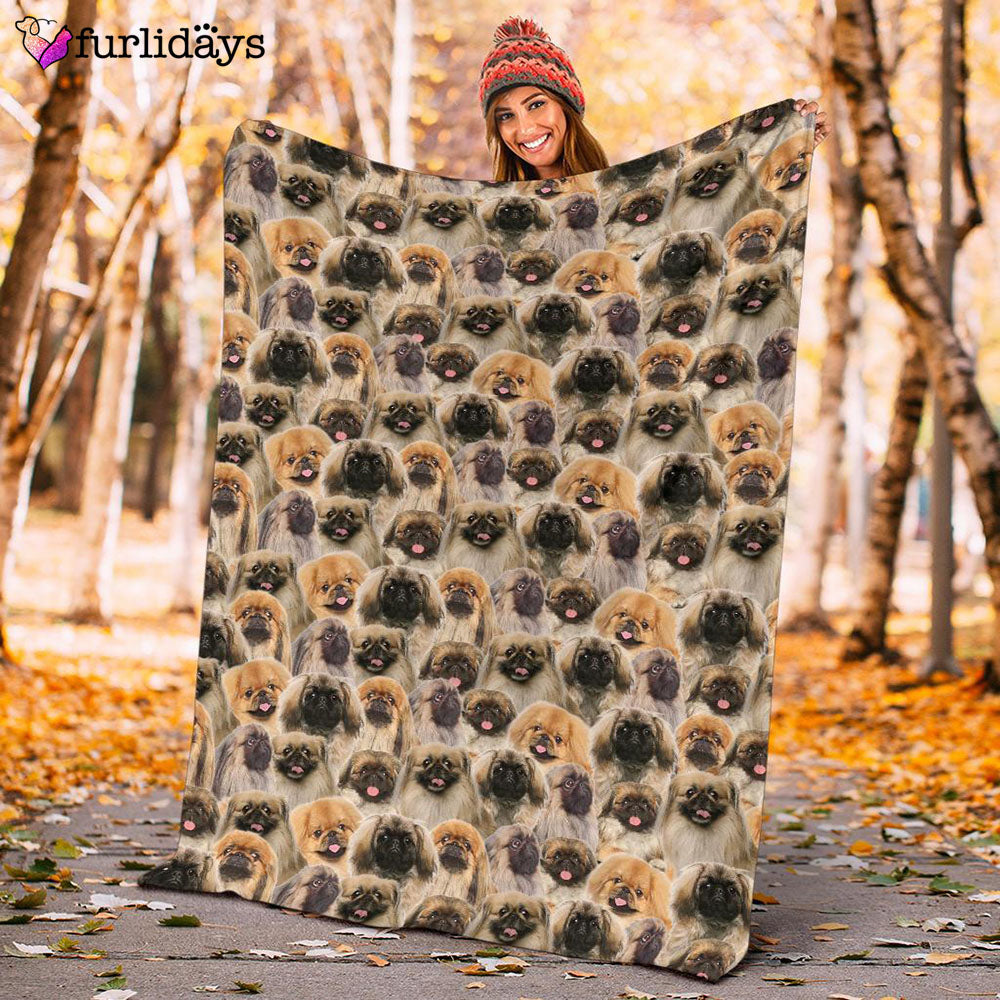 Dog Blanket Dog Face Blanket Dog Throw Blanket Pekingese Full Face Blanket Furlidays 10 6e2d1486 e903 4cd5 8e4c 97e20d066b8e Dog Blanket Dog Face Blanket Dog Throw Blanket Pekingese Full Face Blanket Furlidays 10 6e2d1486 e903 4cd5 8e4c 97e20d066b8e
