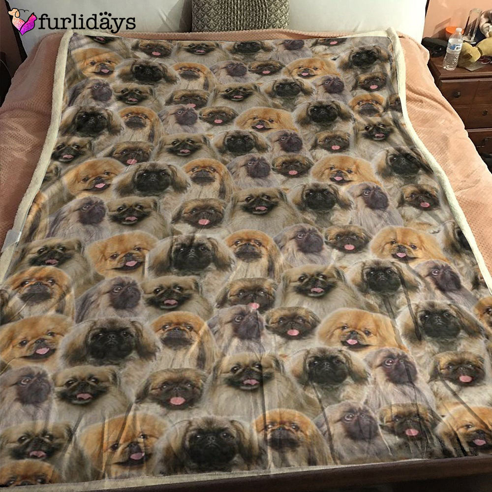 Dog Blanket Dog Face Blanket Dog Throw Blanket Pekingese Full Face Blanket Furlidays 1 f3b696b3 2950 4e64 8227 d3b3e09e1cf8 Dog Blanket Dog Face Blanket Dog Throw Blanket Pekingese Full Face Blanket Furlidays 1 f3b696b3 2950 4e64 8227 d3b3e09e1cf8
