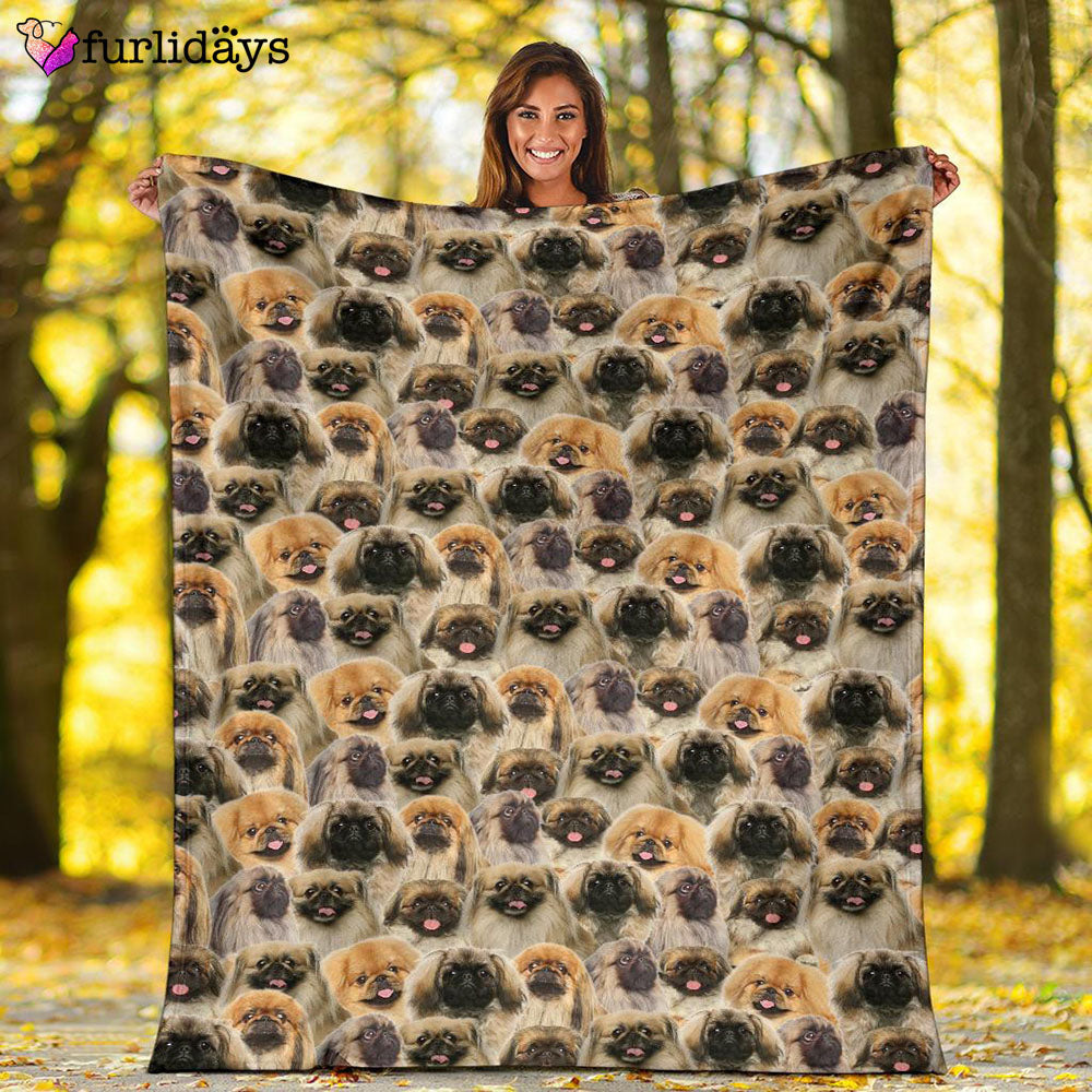 Dog Blanket Dog Face Blanket Dog Throw Blanket Pekingese Full Face Blanket Furlidays 2 243b6365 036f 4ea2 ae3b d627c60fad25 Dog Blanket Dog Face Blanket Dog Throw Blanket Pekingese Full Face Blanket Furlidays 2 243b6365 036f 4ea2 ae3b d627c60fad25