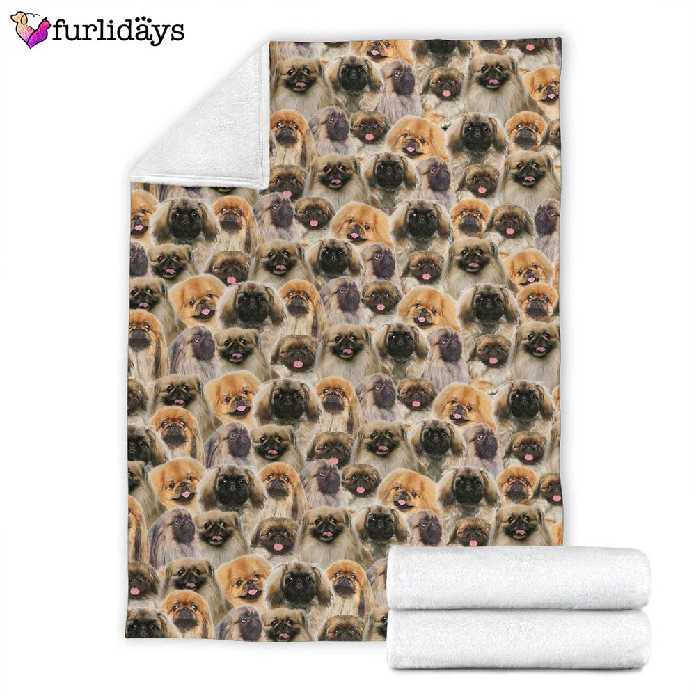 Dog Blanket Dog Face Blanket Dog Throw Blanket Pekingese Full Face Blanket Furlidays 4 7ee82929 c69e 497b 972c fde713714048 Dog Blanket Dog Face Blanket Dog Throw Blanket Pekingese Full Face Blanket Furlidays 4 7ee82929 c69e 497b 972c fde713714048