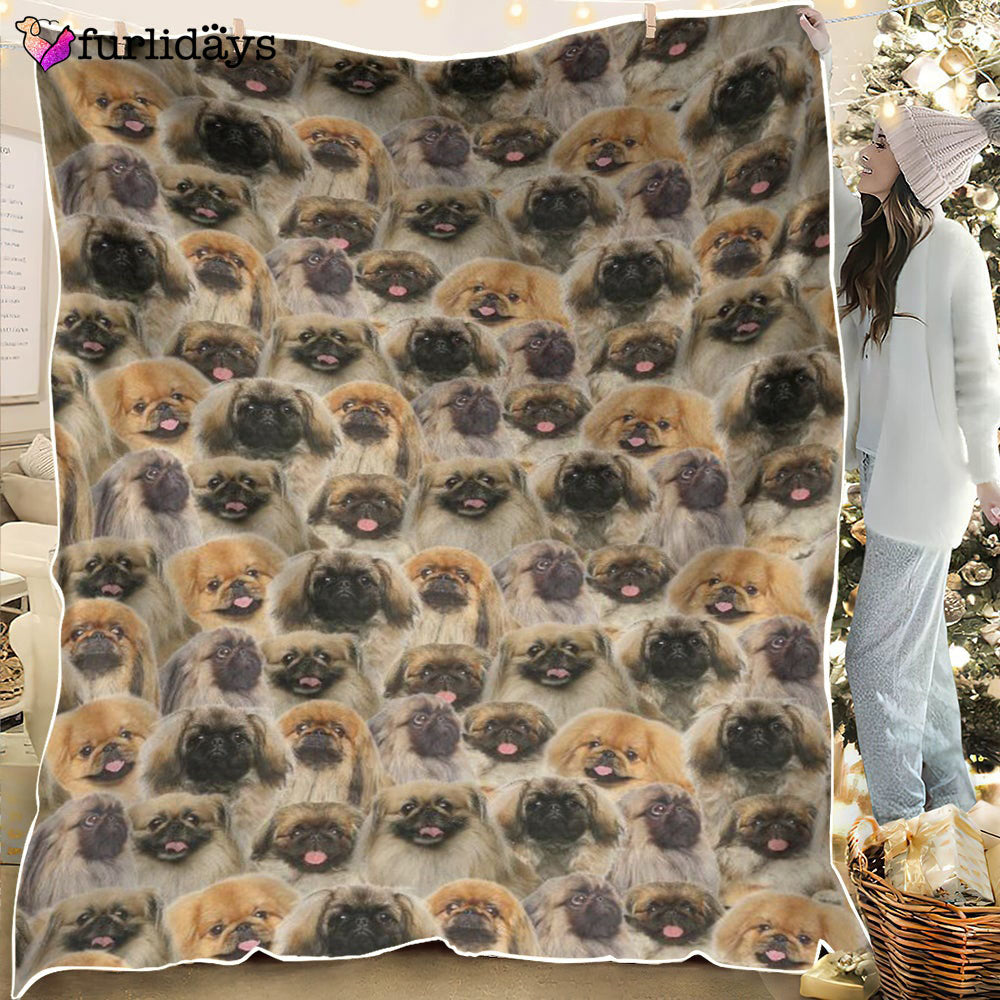 Dog Blanket Dog Face Blanket Dog Throw Blanket Pekingese Full Face Blanket Furlidays 6 39f86746 7762 41a8 ac4e c25aff1f4523 Dog Blanket Dog Face Blanket Dog Throw Blanket Pekingese Full Face Blanket Furlidays 6 39f86746 7762 41a8 ac4e c25aff1f4523