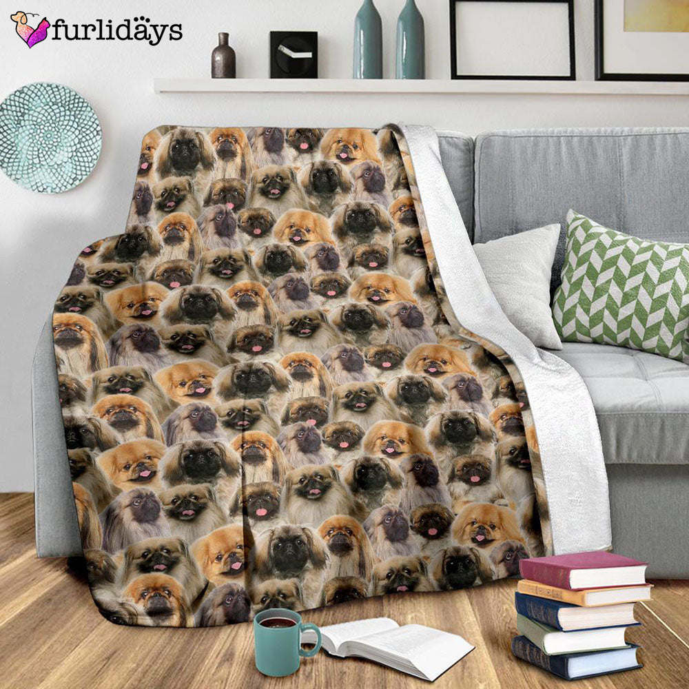 Dog Blanket Dog Face Blanket Dog Throw Blanket Pekingese Full Face Blanket Furlidays 9 97b1903b 3b73 464f bef6 c00ee80de49d Dog Blanket Dog Face Blanket Dog Throw Blanket Pekingese Full Face Blanket Furlidays 9 97b1903b 3b73 464f bef6 c00ee80de49d