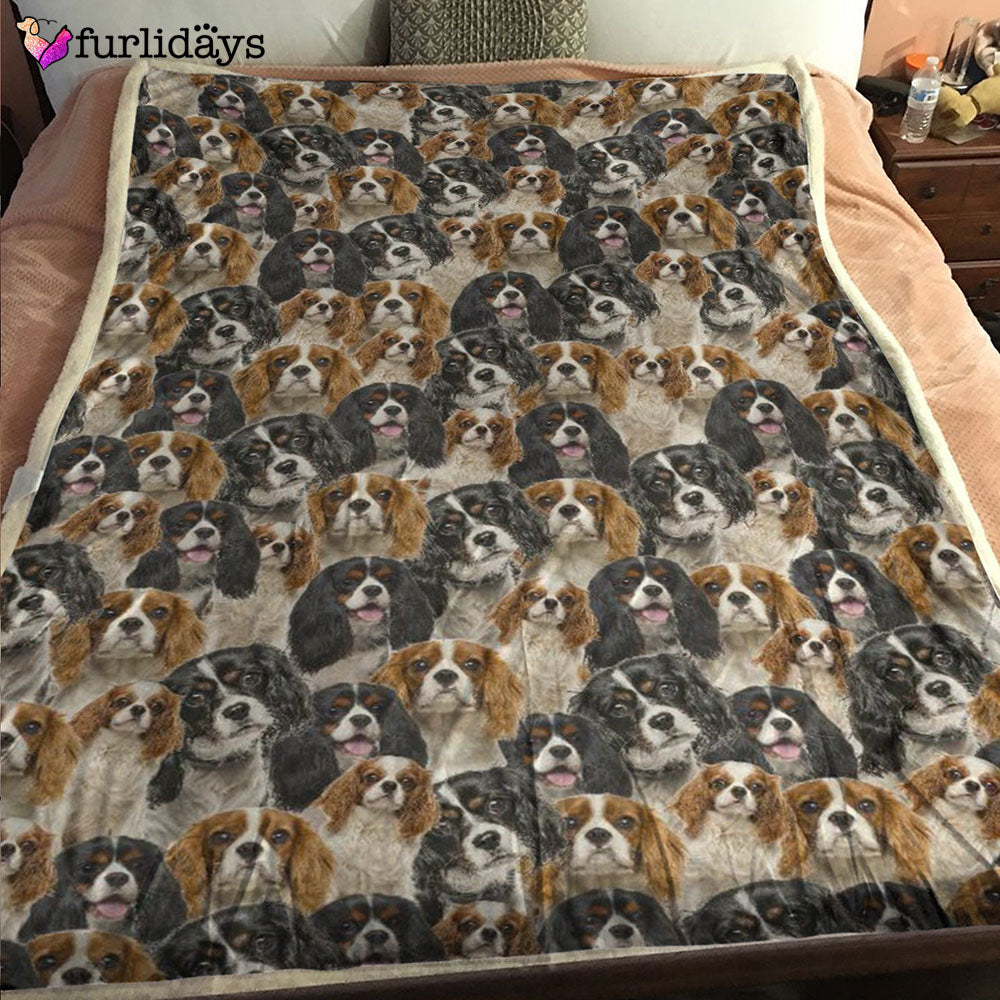 Dog Blanket Dog Face Blanket Dog Throw Blanket Poodle Heart Blanket Furlidays 1 Dog Blanket Dog Face Blanket Dog Throw Blanket Poodle Heart Blanket Furlidays 1