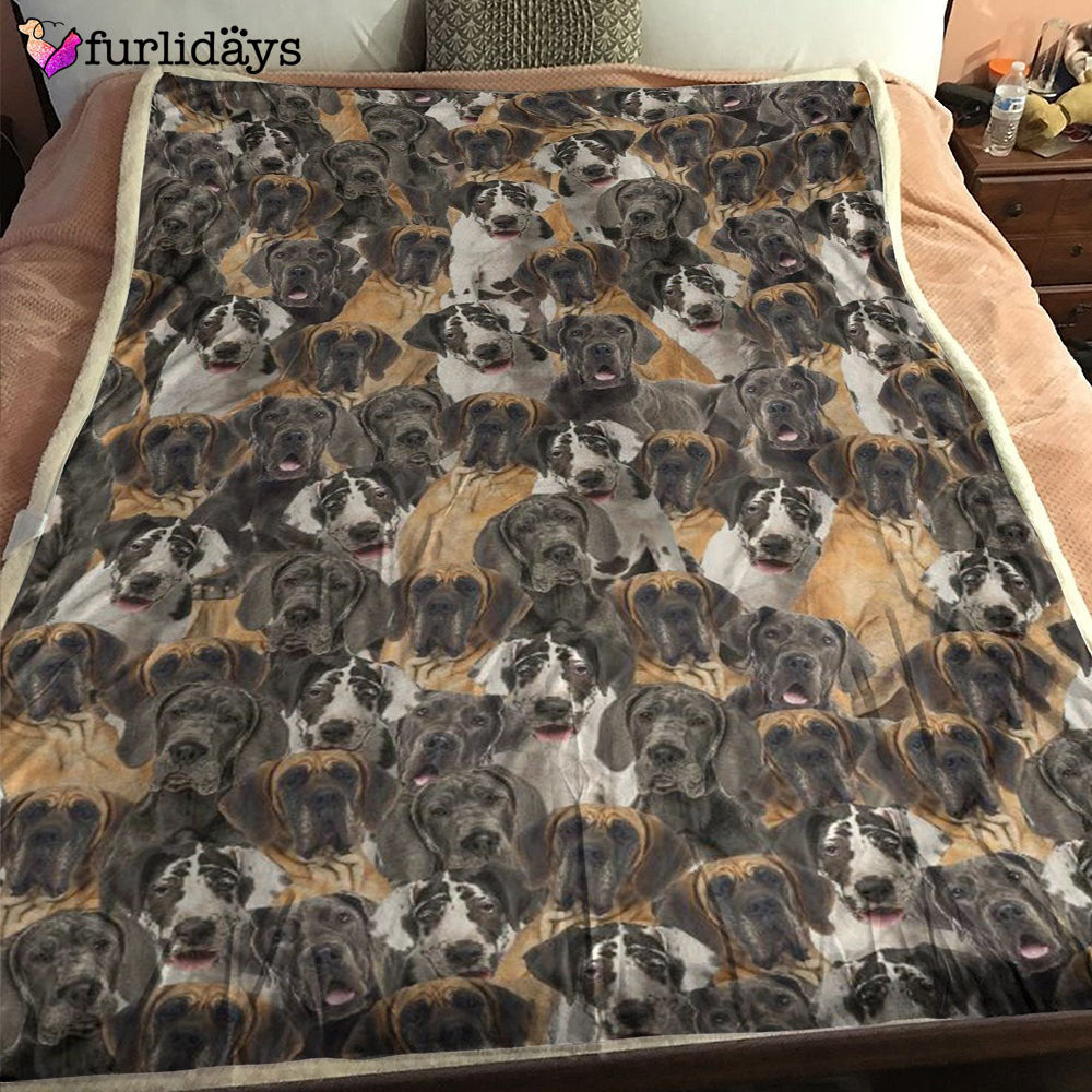 Dog Blanket Dog Face Blanket Dog Throw Blanket Rat Terrier Full Face Blanket Furlidays 2 Dog Blanket Dog Face Blanket Dog Throw Blanket Rat Terrier Full Face Blanket Furlidays 2