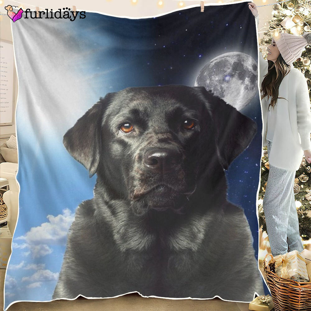 Dog Blanket Dog Face Blanket Dog Throw Blanket Rhodesian Ridgeback Blanket Furlidays 2 d8d9b08f fcac 45b0 940c 3de61864323d Dog Blanket Dog Face Blanket Dog Throw Blanket Rhodesian Ridgeback Blanket Furlidays 2 d8d9b08f fcac 45b0 940c 3de61864323d