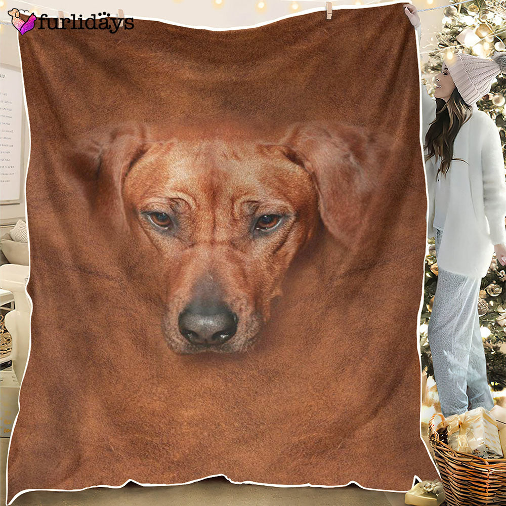 Dog Blanket Dog Face Blanket Dog Throw Blanket Rhodesian Ridgeback Face Hair Blanket Furlidays 1 Dog Blanket Dog Face Blanket Dog Throw Blanket Rhodesian Ridgeback Face Hair Blanket Furlidays 1