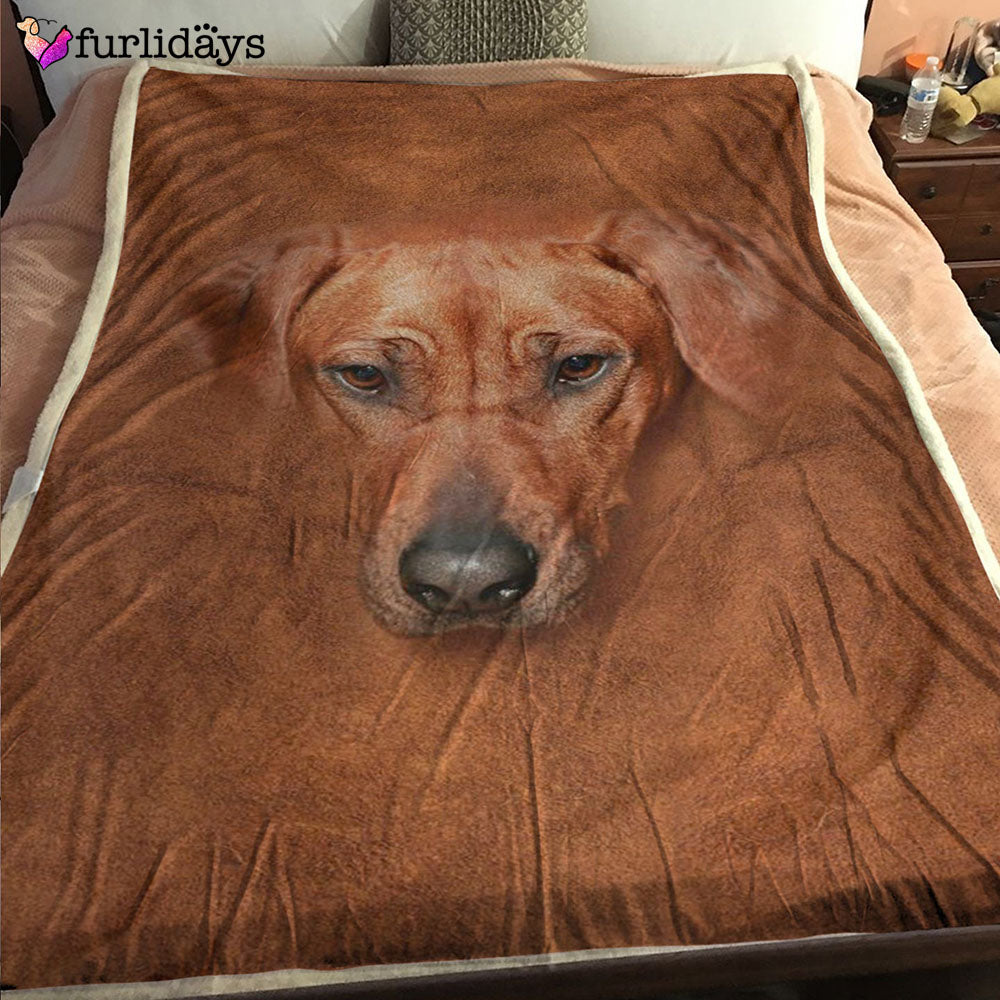 Dog Blanket Dog Face Blanket Dog Throw Blanket Rhodesian Ridgeback Face Hair Blanket Furlidays 2 Dog Blanket Dog Face Blanket Dog Throw Blanket Rhodesian Ridgeback Face Hair Blanket Furlidays 2