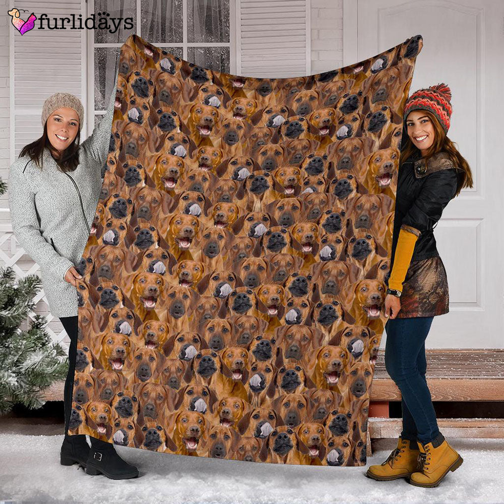 Dog Blanket Dog Face Blanket Dog Throw Blanket Rhodesian Ridgeback Full Face Blanket Furlidays 3 4bb56abb 404c 40ec 9c4f ff793119c79a