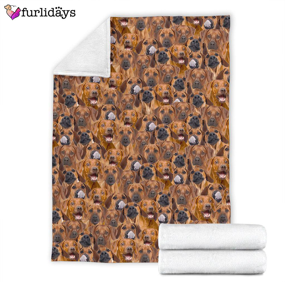 Dog Blanket Dog Face Blanket Dog Throw Blanket Rhodesian Ridgeback Full Face Blanket Furlidays 4 Dog Blanket Dog Face Blanket Dog Throw Blanket Rhodesian Ridgeback Full Face Blanket Furlidays 4