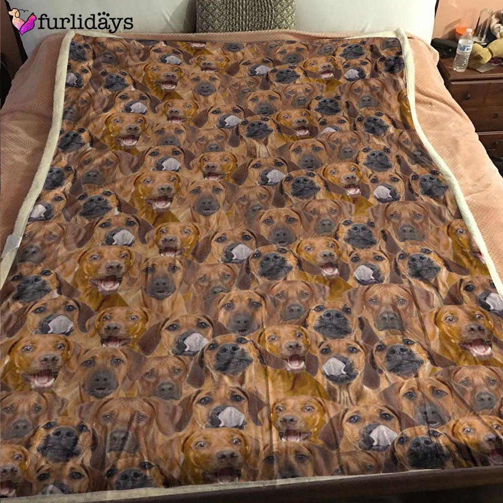 Dog Blanket Dog Face Blanket Dog Throw Blanket Rhodesian Ridgeback Full Face Blanket Furlidays 6 Dog Blanket Dog Face Blanket Dog Throw Blanket Rhodesian Ridgeback Full Face Blanket Furlidays 6