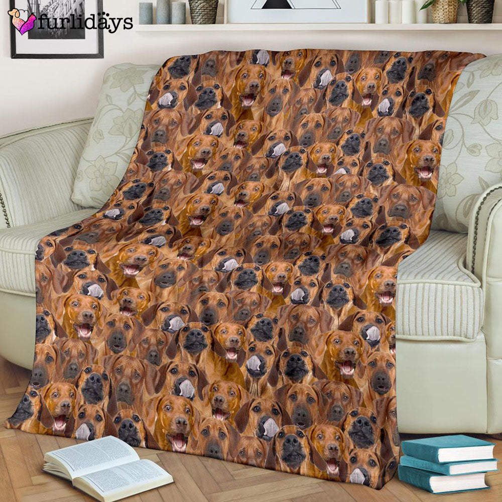 Dog Blanket Dog Face Blanket Dog Throw Blanket Rhodesian Ridgeback Full Face Blanket Furlidays 8 Dog Blanket Dog Face Blanket Dog Throw Blanket Rhodesian Ridgeback Full Face Blanket Furlidays 8