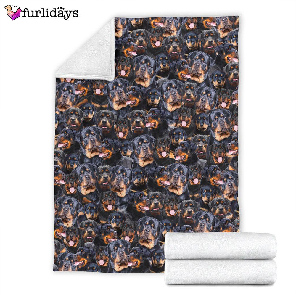 Dog Blanket Dog Face Blanket Dog Throw Blanket Rottweiler Full Face Blanket Furlidays 4 Dog Blanket Dog Face Blanket Dog Throw Blanket Rottweiler Full Face Blanket Furlidays 4
