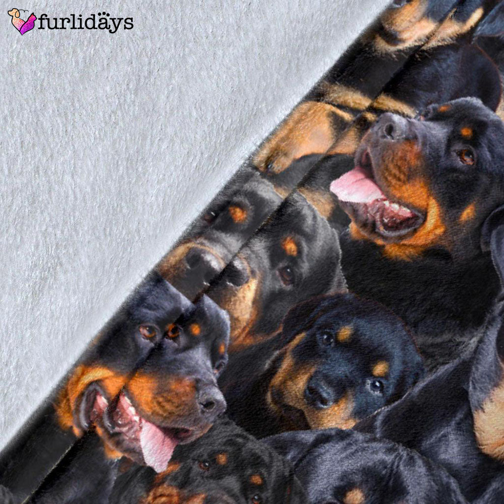 Dog Blanket Dog Face Blanket Dog Throw Blanket Rottweiler Full Face Blanket Furlidays 5 Dog Blanket Dog Face Blanket Dog Throw Blanket Rottweiler Full Face Blanket Furlidays 5