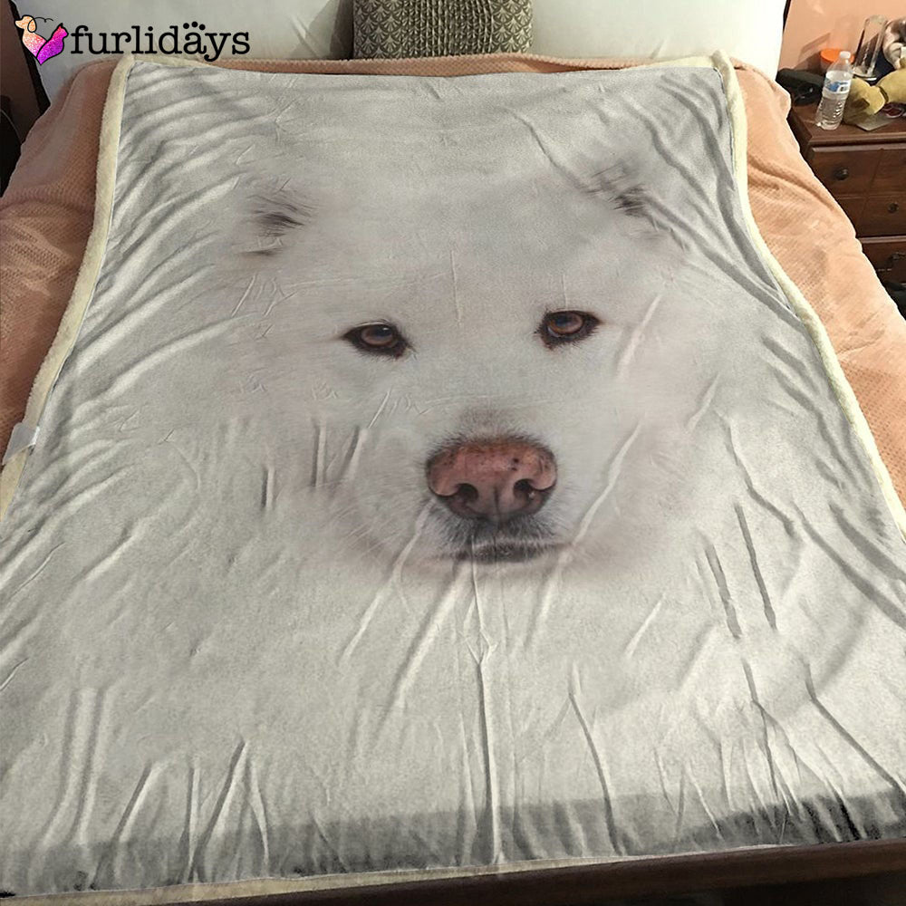 Dog Blanket Dog Face Blanket Dog Throw Blanket Samoyed Face Hair Blanket Furlidays 1 Dog Blanket Dog Face Blanket Dog Throw Blanket Samoyed Face Hair Blanket Furlidays 1